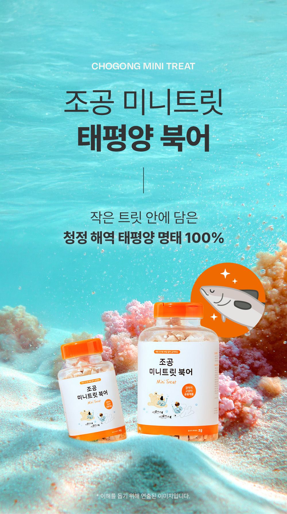 조공 미니트릿 태평양 북어 50g 1번째