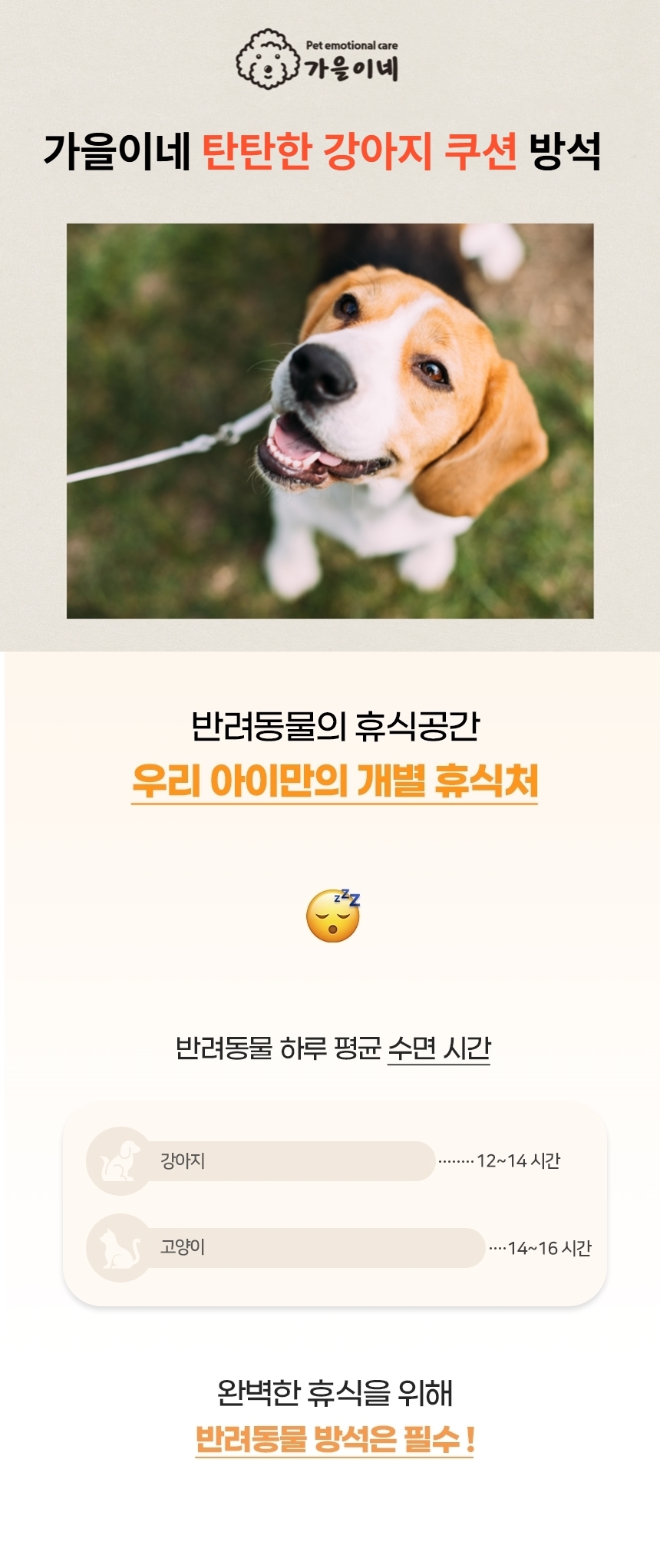 [NEW신상][무료배송] 가을이네 사계절 탄탄 쿠션 1번째