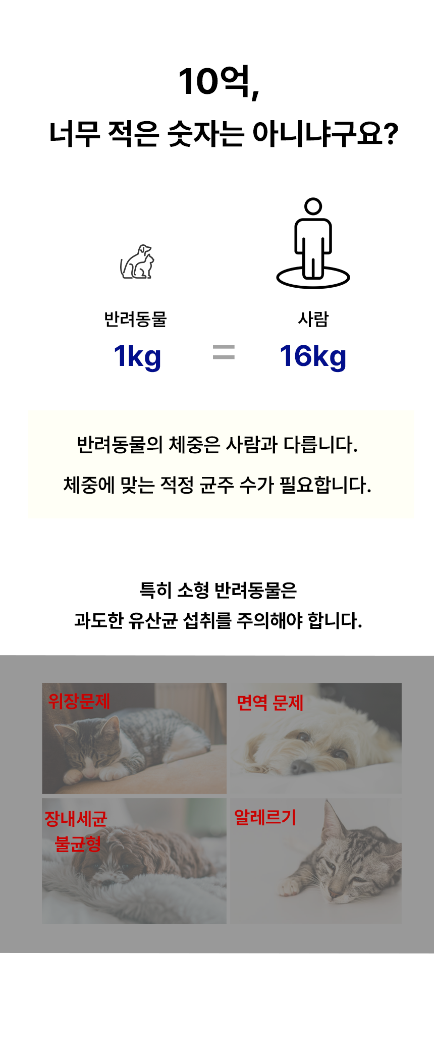 [NEW신상][무료배송] 바이알코드 헬씨라인 항비만 장건강 유산균 2g x 30포 6번째