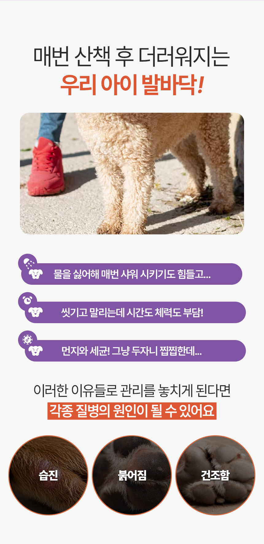 [NEW신상][무료배송] 펫토리아 티트리 워터리스 샴푸 150ml 3번째