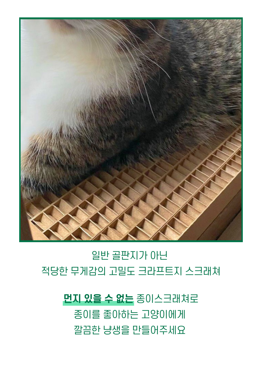 [NEW신상][무료배송] 캣츠크라프트 맞춤제작 창틀스크래쳐 리뉴얼 16번째