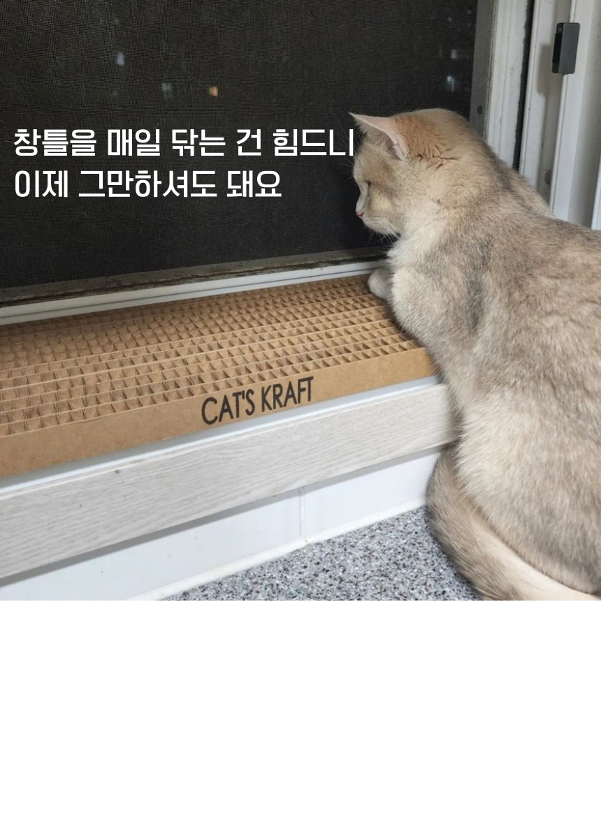 [NEW신상][무료배송] 캣츠크라프트 맞춤제작 창틀스크래쳐 리뉴얼 11번째