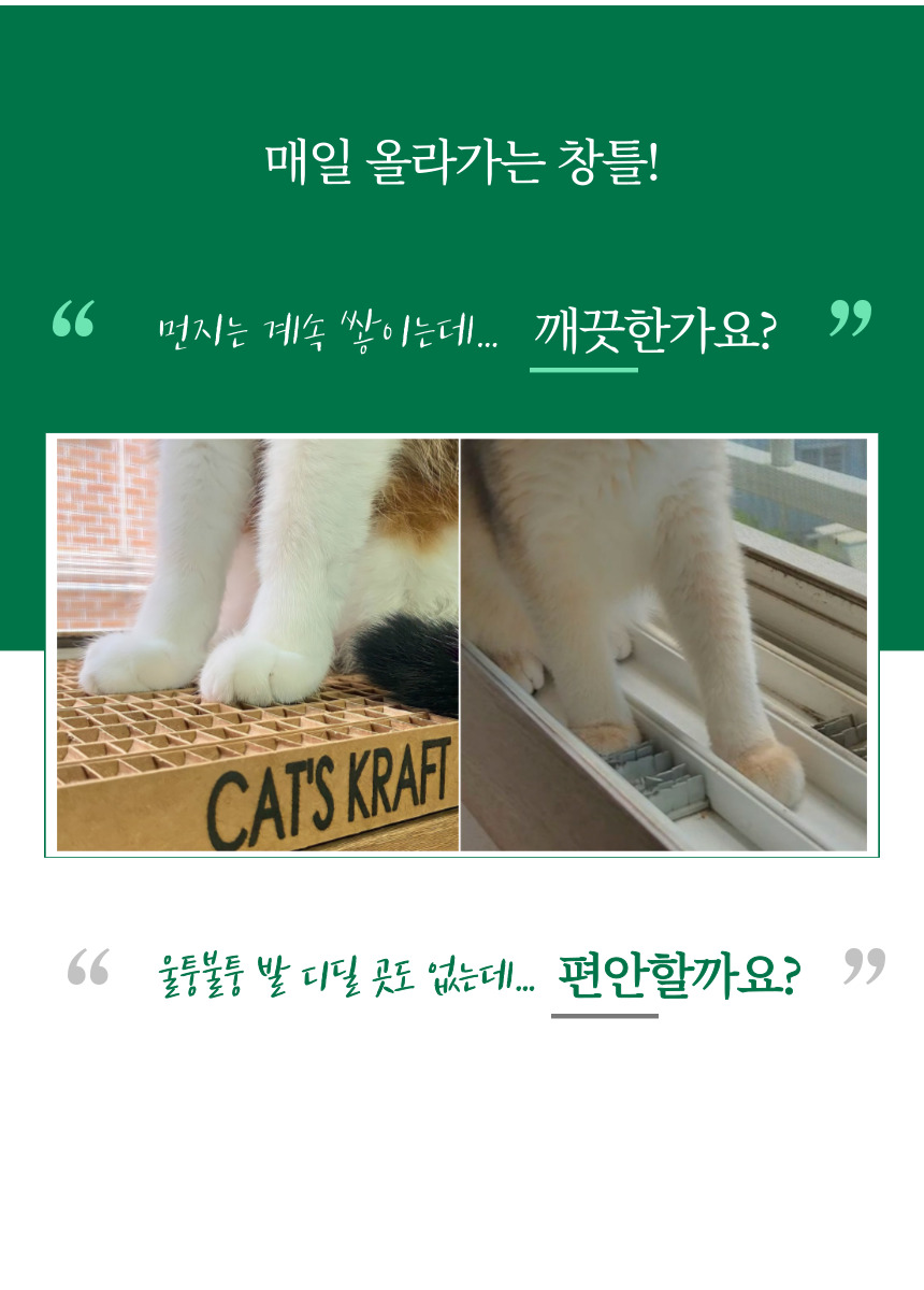 [NEW신상][무료배송] 캣츠크라프트 맞춤제작 창틀스크래쳐 리뉴얼 9번째