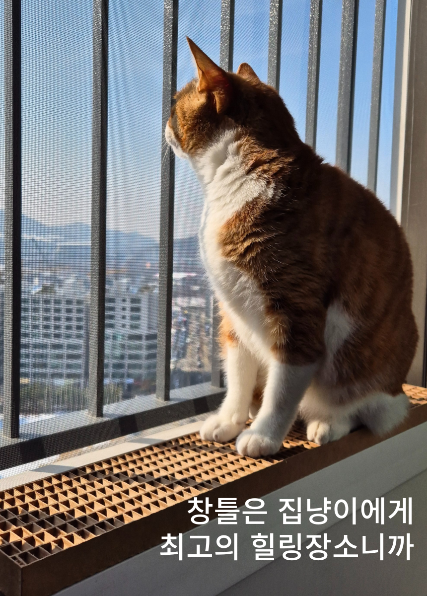 [NEW신상][무료배송] 캣츠크라프트 맞춤제작 창틀스크래쳐 리뉴얼 5번째