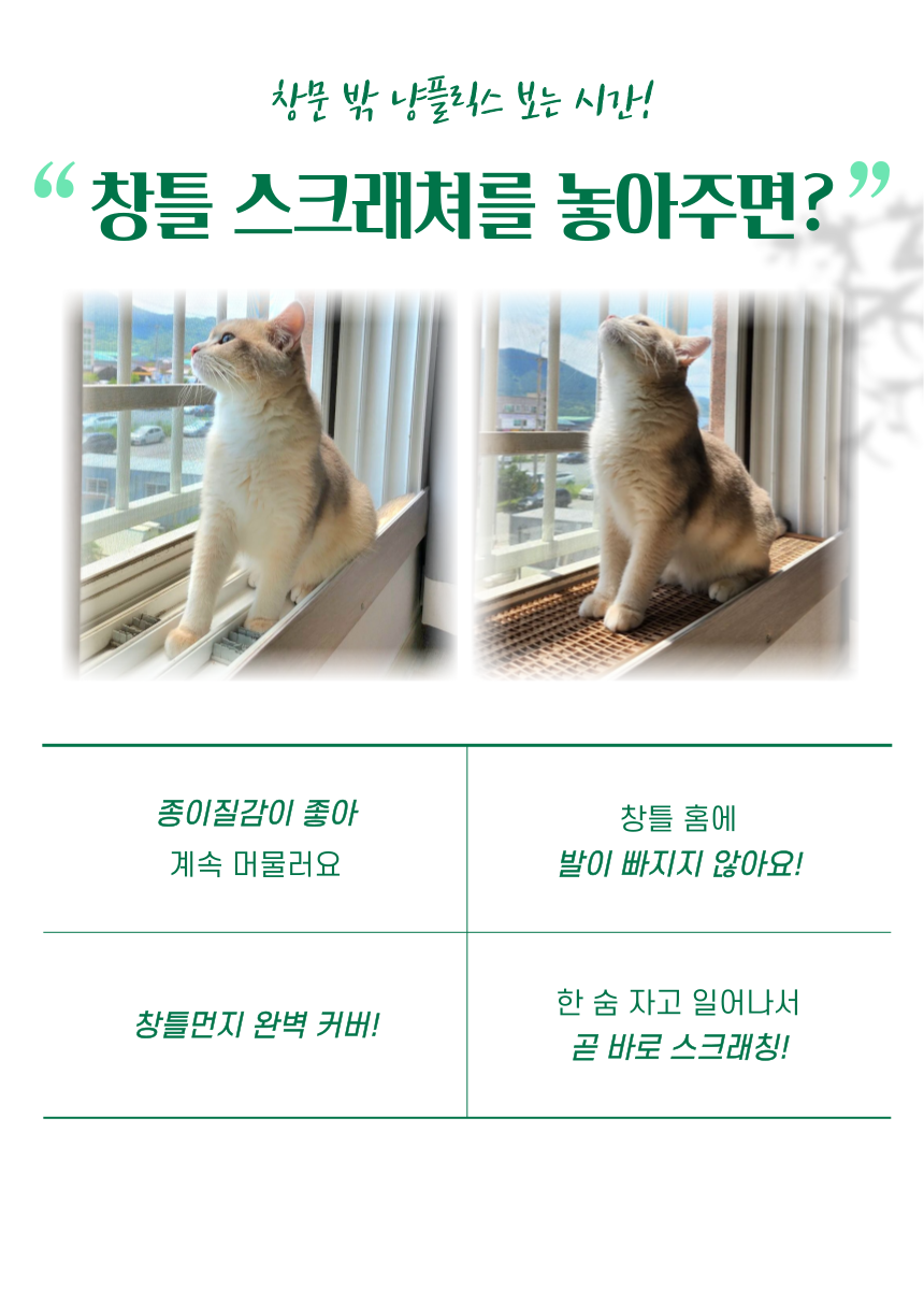 [NEW신상][무료배송] 캣츠크라프트 맞춤제작 창틀스크래쳐 리뉴얼 12번째