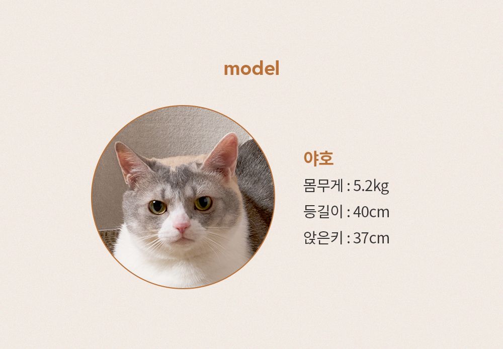 [무료배송] 두잇 올데이바스켓 펠트 숨숨집 10번째