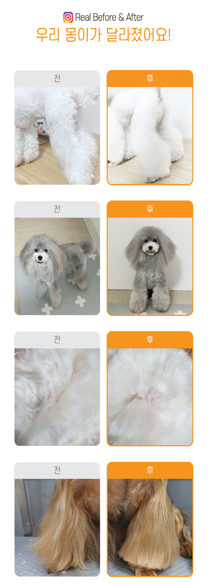 [무료배송] 바스몽 몽블링 보습 에센스 데일리 미스트 250ml 4번째