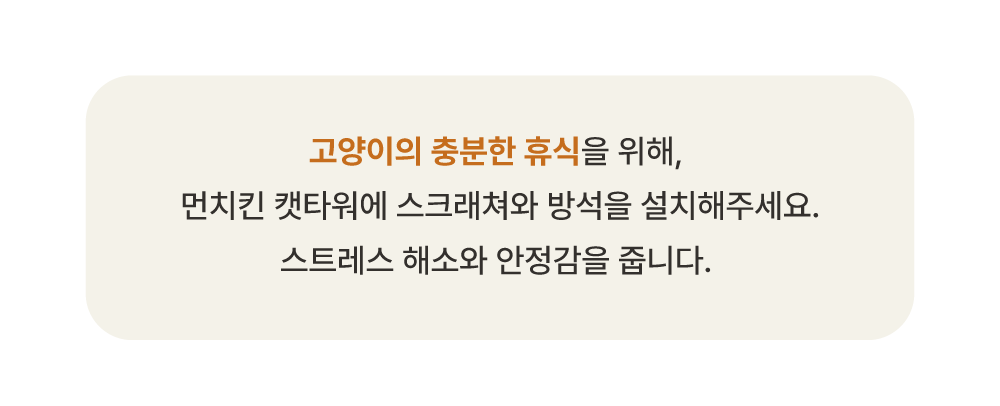 [NEW신상][무료배송] 큐빅스펫 먼치킨 놀이터 캣타워 2X4+ 커버 세트 6color +스크래쳐1장 포함 39번째