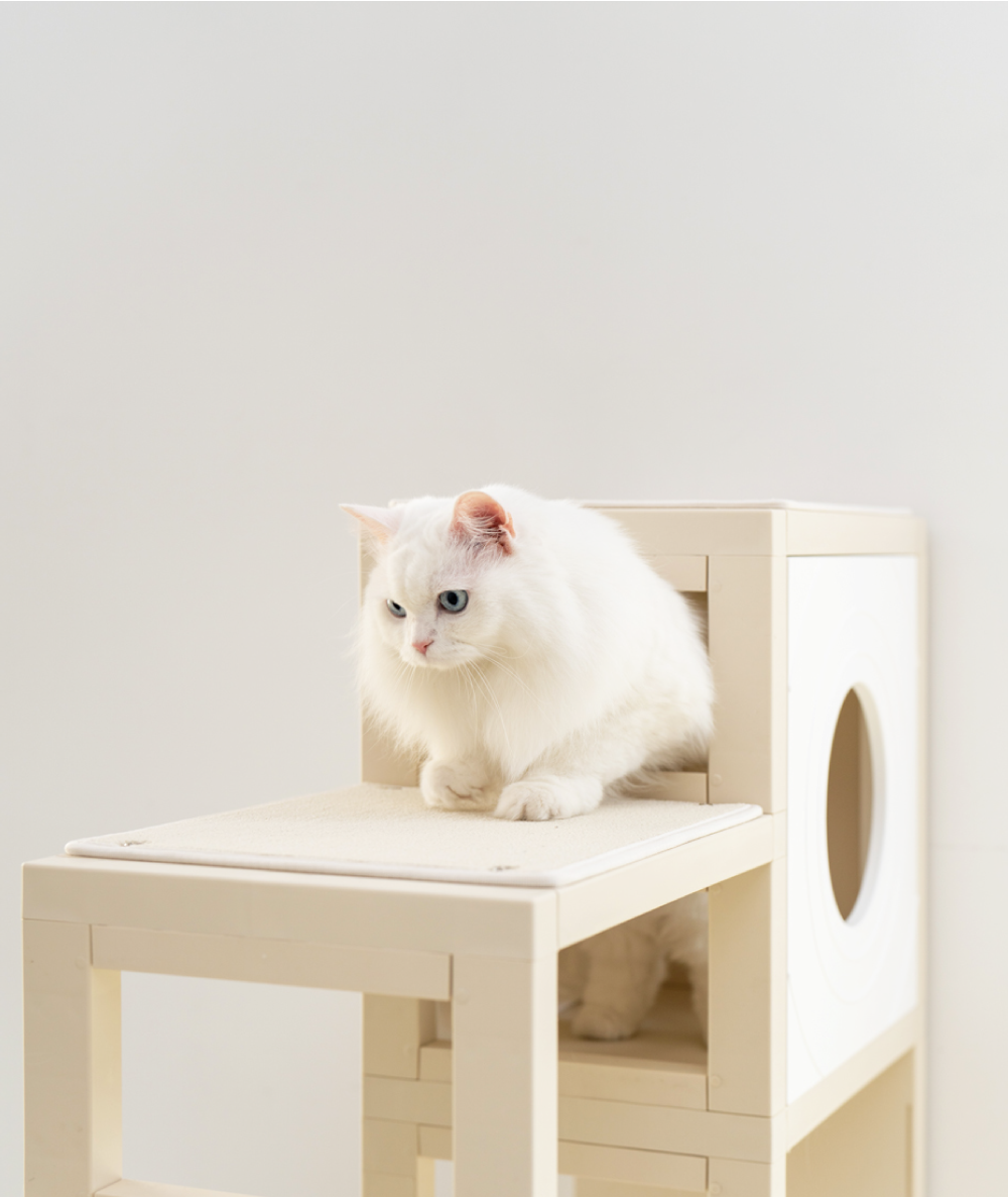 [NEW신상][무료배송] 큐빅스펫 먼치킨 놀이터 캣타워 2X4+ 커버 세트 6color +스크래쳐1장 포함 33번째