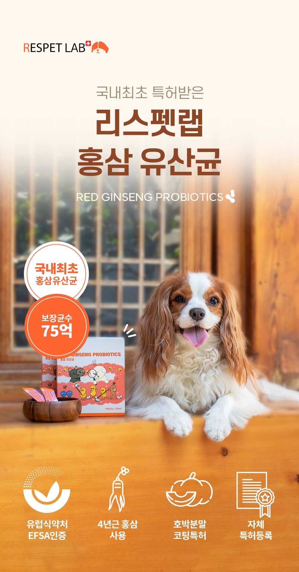 [NEW신상]리스펫 홍삼 프로바이오틱스 2g*30p 4번째