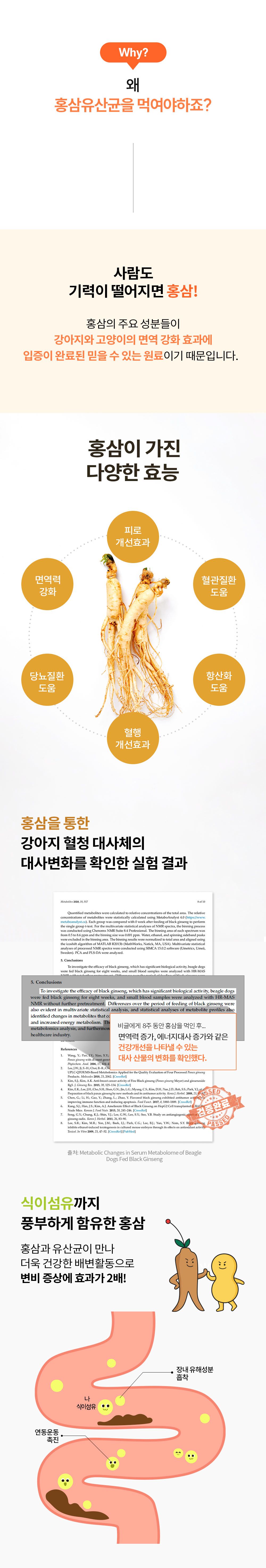 [NEW신상]리스펫 홍삼 프로바이오틱스 2g*30p 3번째
