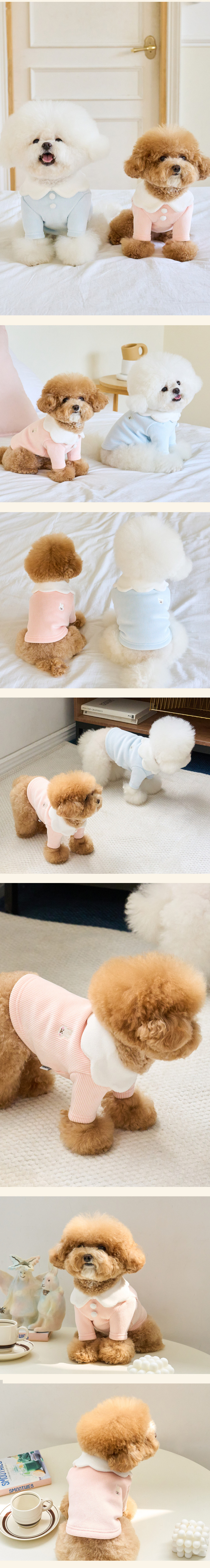 [무료배송] 베니즈 밀크 폼 크롭 티셔츠 스카이블루 S-XL 2번째