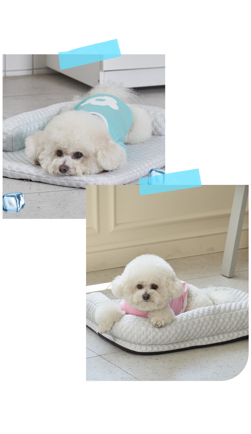 [NEW신상][무료배송] 개과천선 벤치 쿨 방석 (M/L) 9번째