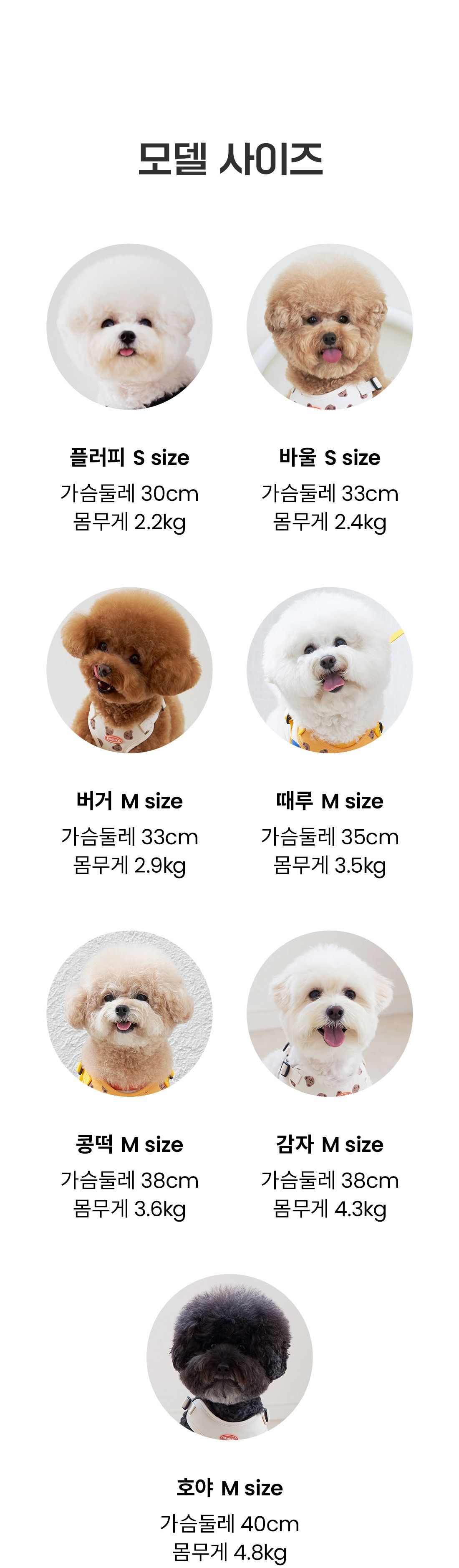 [무료배송] 리카리카 똑딱 1초 하네스 크림/블랙/크림베어/옐로우베어 S-L 15번째