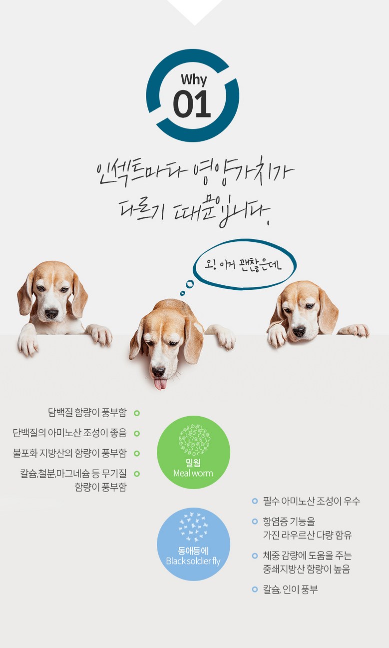 [체험단] [무료배송] 엉클홈 인섹트플러스 강아지 피부 알러지 눈물 다이어트 곤충 사료 1.2kg 4번째