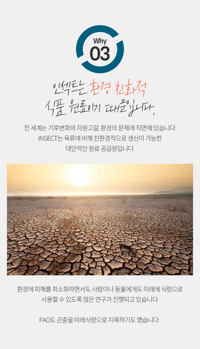 [체험단] [무료배송] 엉클홈 인섹트플러스 강아지 피부 알러지 눈물 다이어트 곤충 사료 1.2kg 7번째