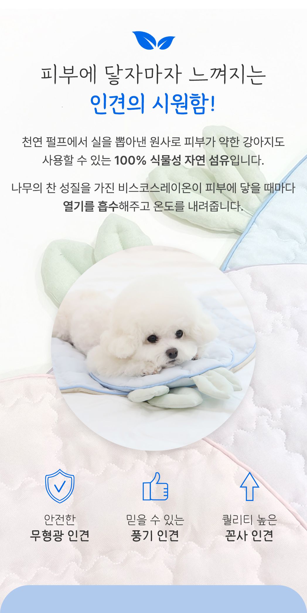 [무료배송] 이츠독 인견  후르츠 쿨링 매트 복숭아/포도/블루베리 M-L 1번째
