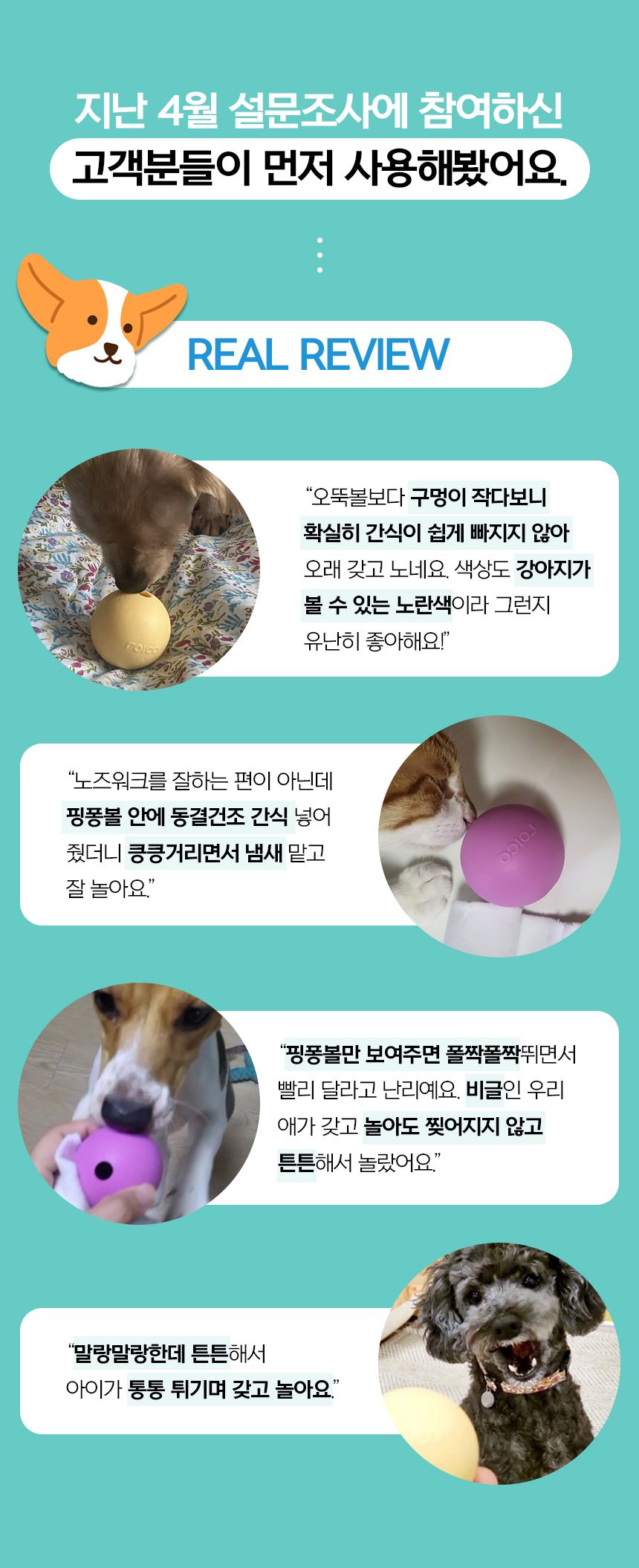 [무료배송] 로이코 핑퐁볼 노즈워크 장난감 노랑/분홍/보라 2번째