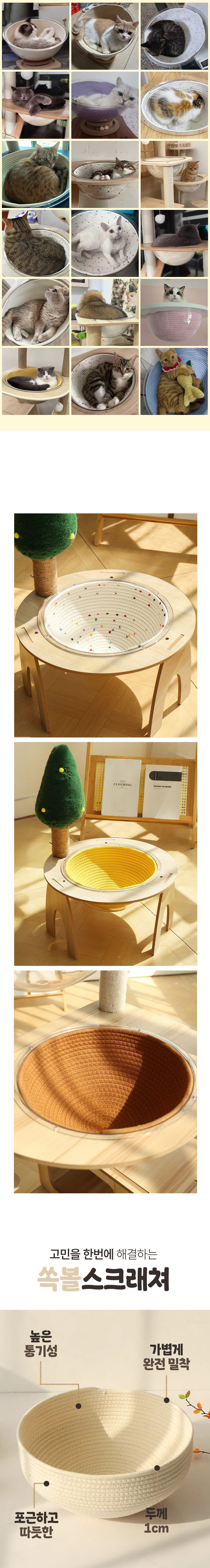 [무료배송] 캣트럴파크 투명볼 쏙볼스크래쳐 6colors 3번째