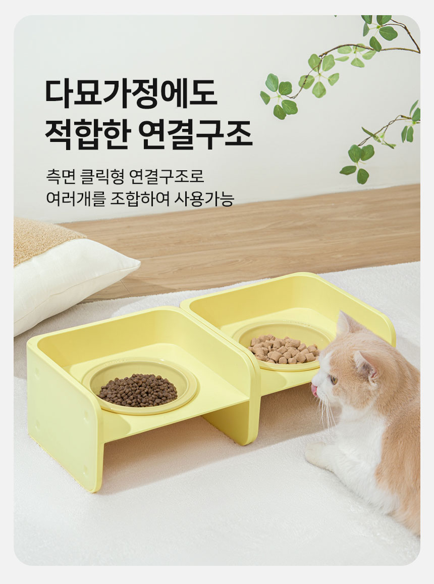 [NEW신상][무료배송] 망고 반려동물 세라믹 도자기 식기 1구 7번째