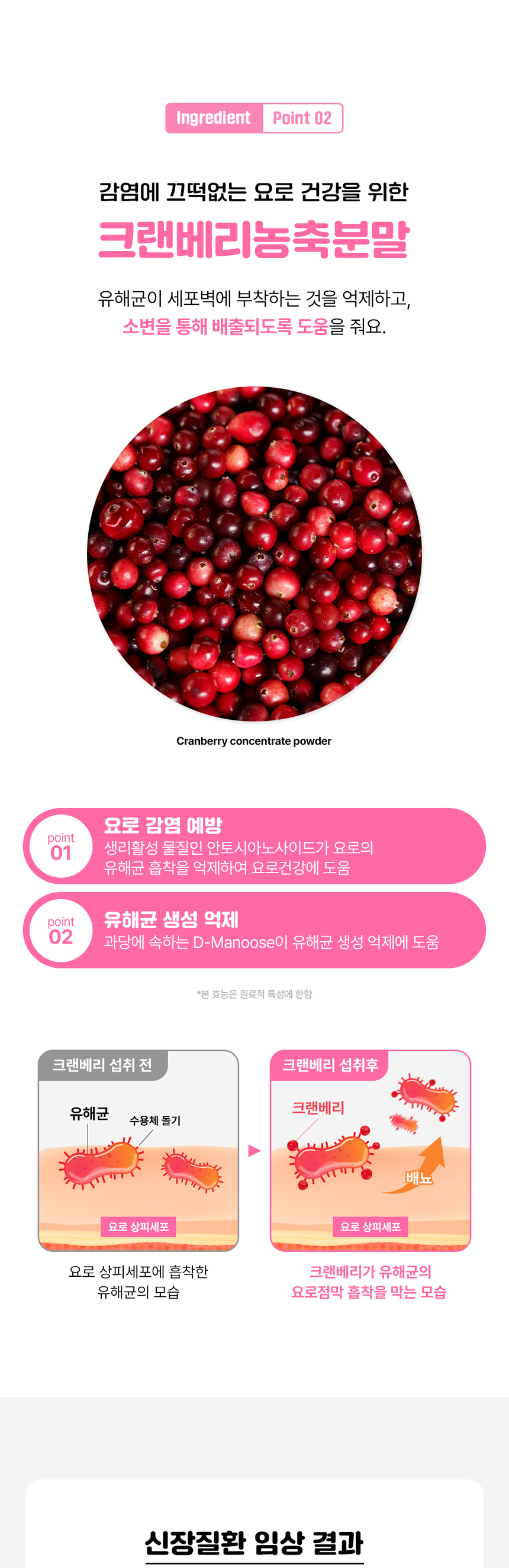 [무료배송] 라이프펫 고양이 신장영양제 유리나리 60g 19번째