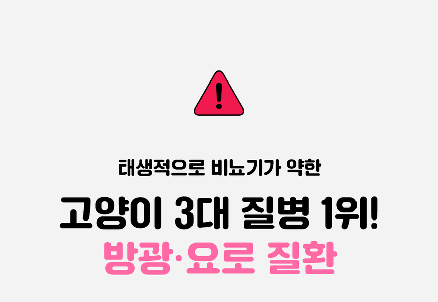 [무료배송] 라이프펫 고양이 신장영양제 유리나리 60g 6번째