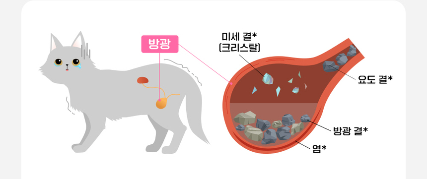 [무료배송] 라이프펫 고양이 신장영양제 유리나리 60g 10번째