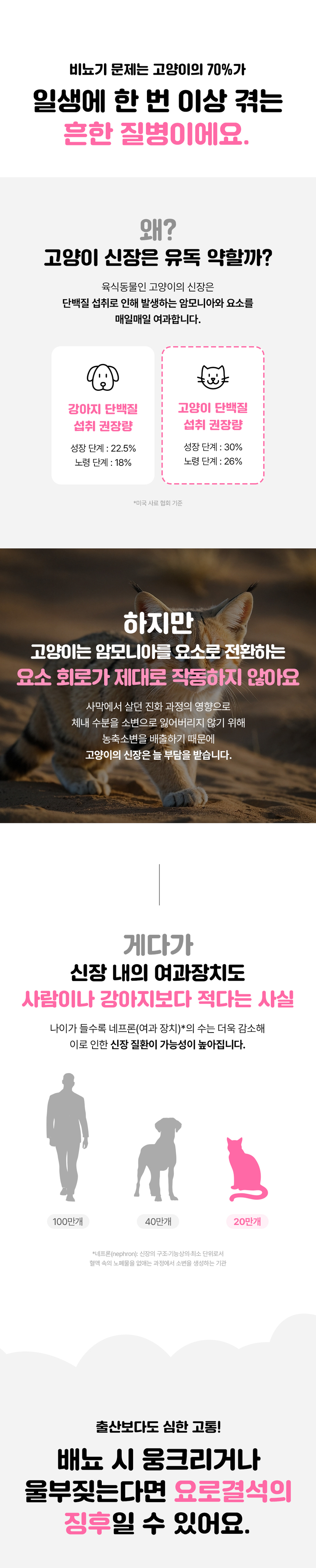 [무료배송] 라이프펫 고양이 신장영양제 유리나리 60g 9번째