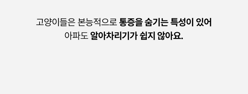 [무료배송] 라이프펫 고양이 신장영양제 유리나리 60g 8번째