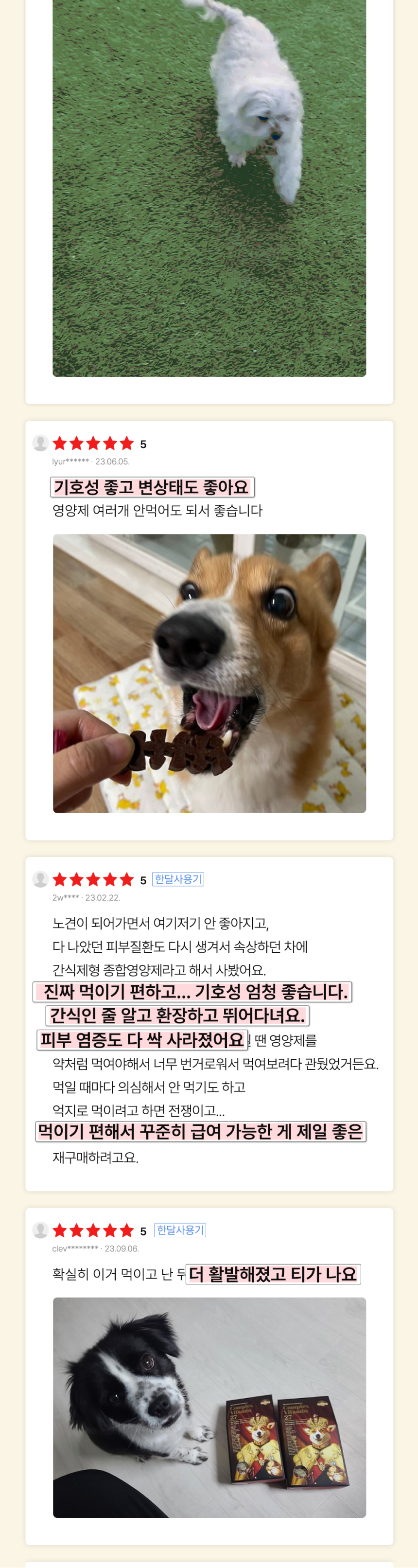 [유통기한임박, 26년4월30일] 더폴슨 독 프리미엄 종합영양제 30ea*8g 5번째