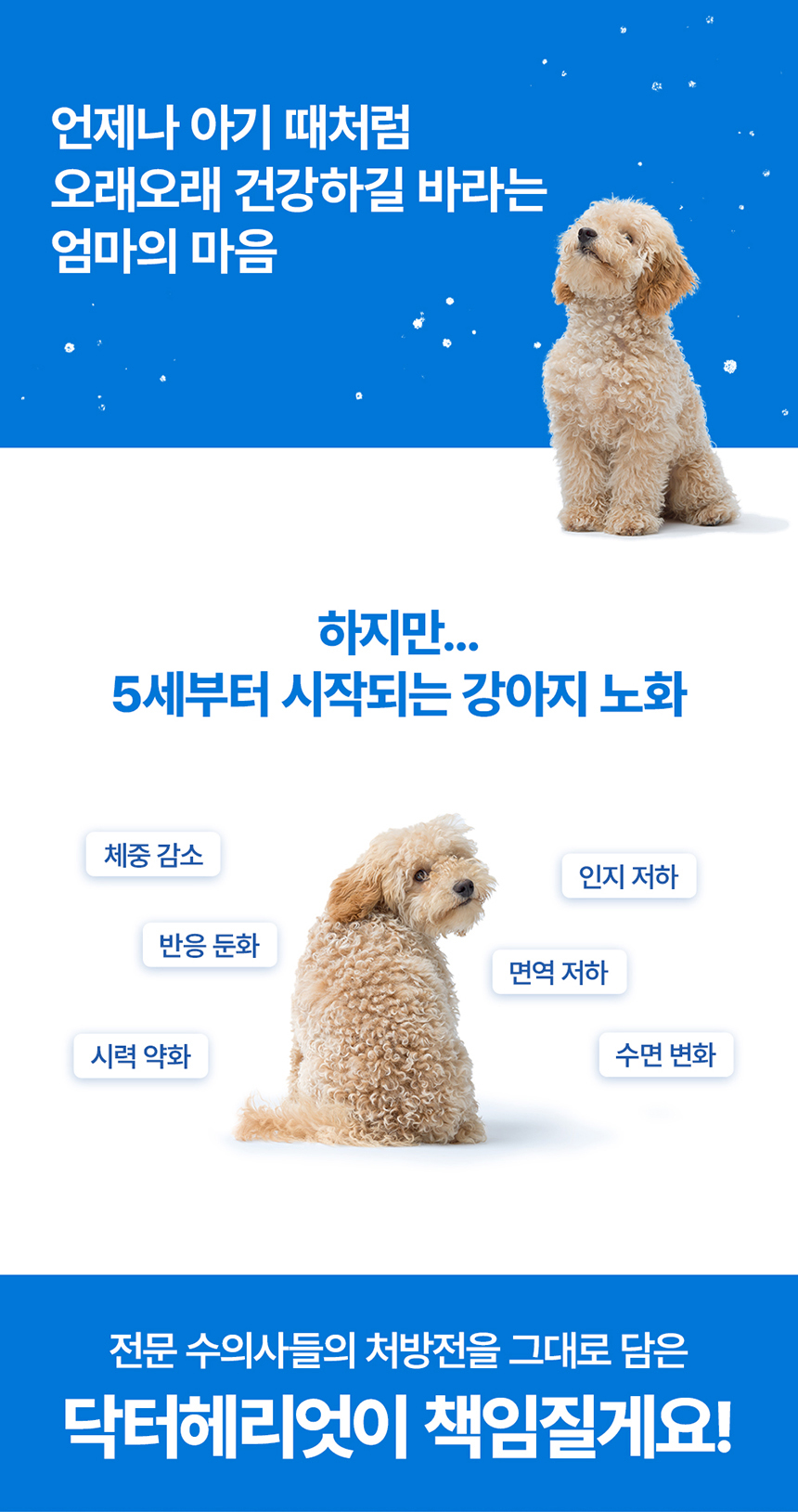 [체험단] [무료배송] 닥터헤리엇 아이앤브레인 1번째