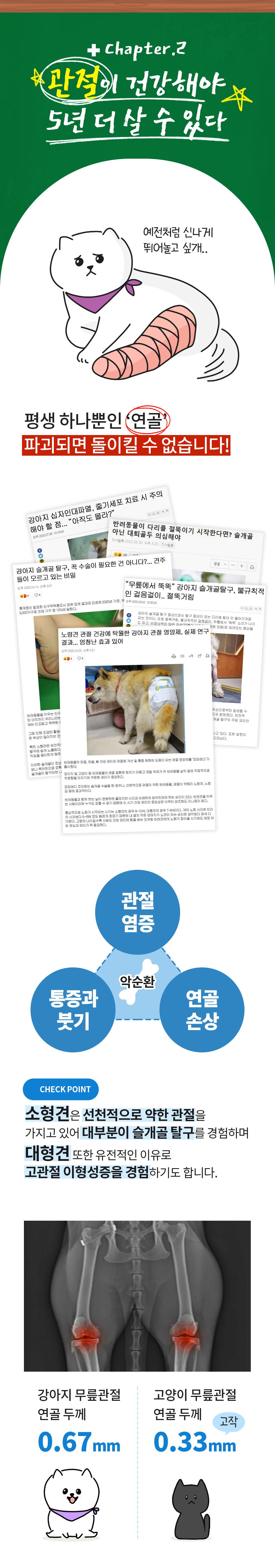 [공동구매][무료배송] 파파메디 메디 조인트 30포 5번째
