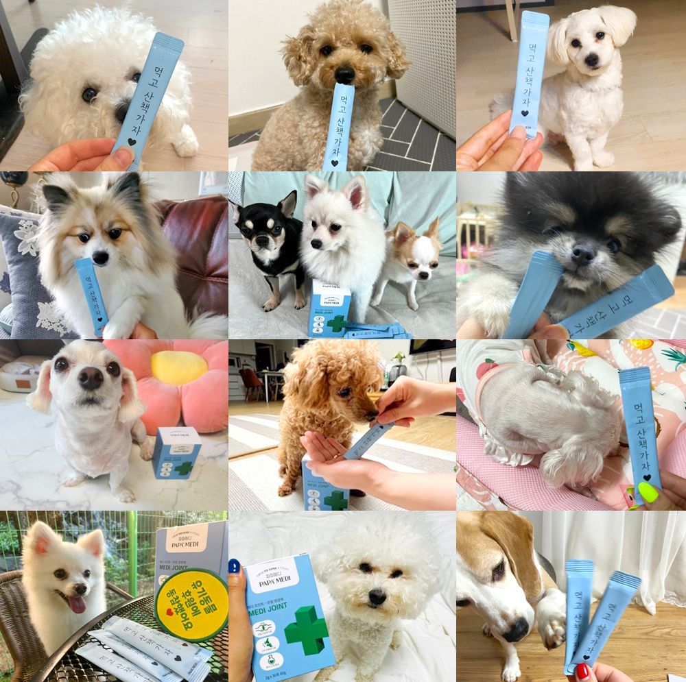 [공동구매][무료배송] 파파메디 메디 조인트 30포 2번째