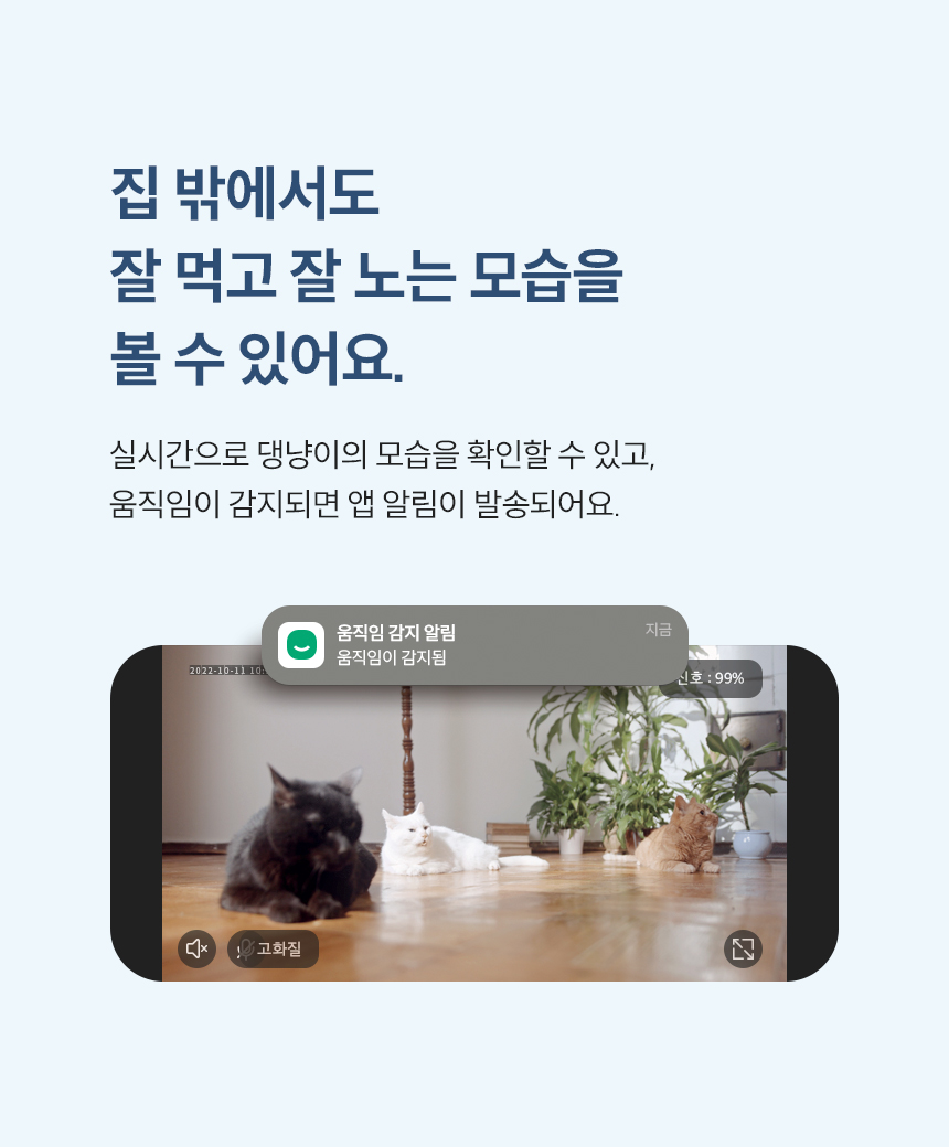 [NEW신상][무료배송] 헤이홈 스마트 펫 자동 급식기 10번째