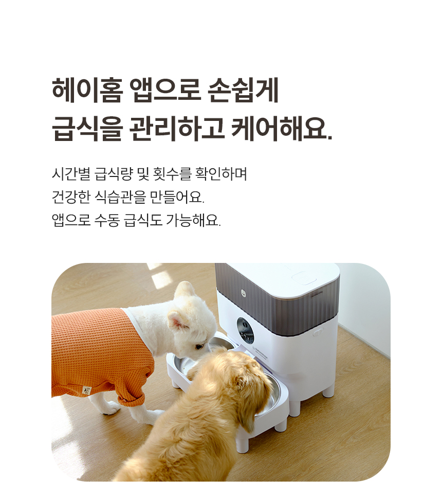 [NEW신상][무료배송] 헤이홈 스마트 펫 자동 급식기 6번째