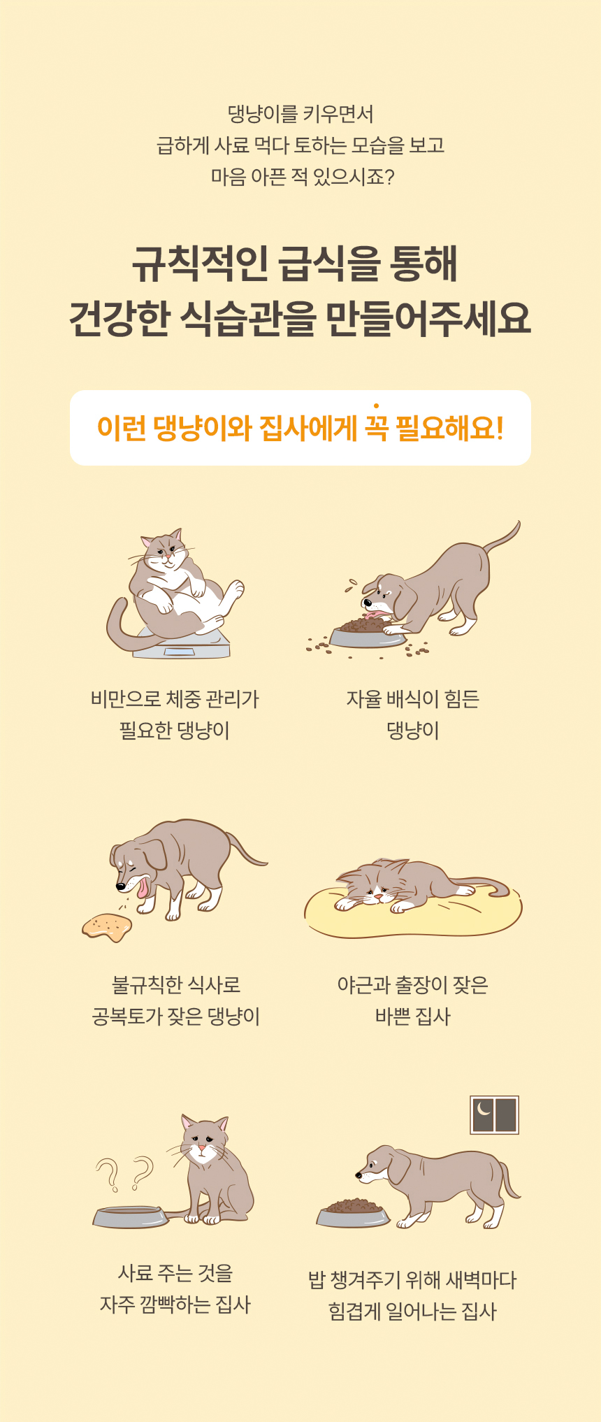 [NEW신상][무료배송] 헤이홈 스마트 펫 자동 급식기 3번째