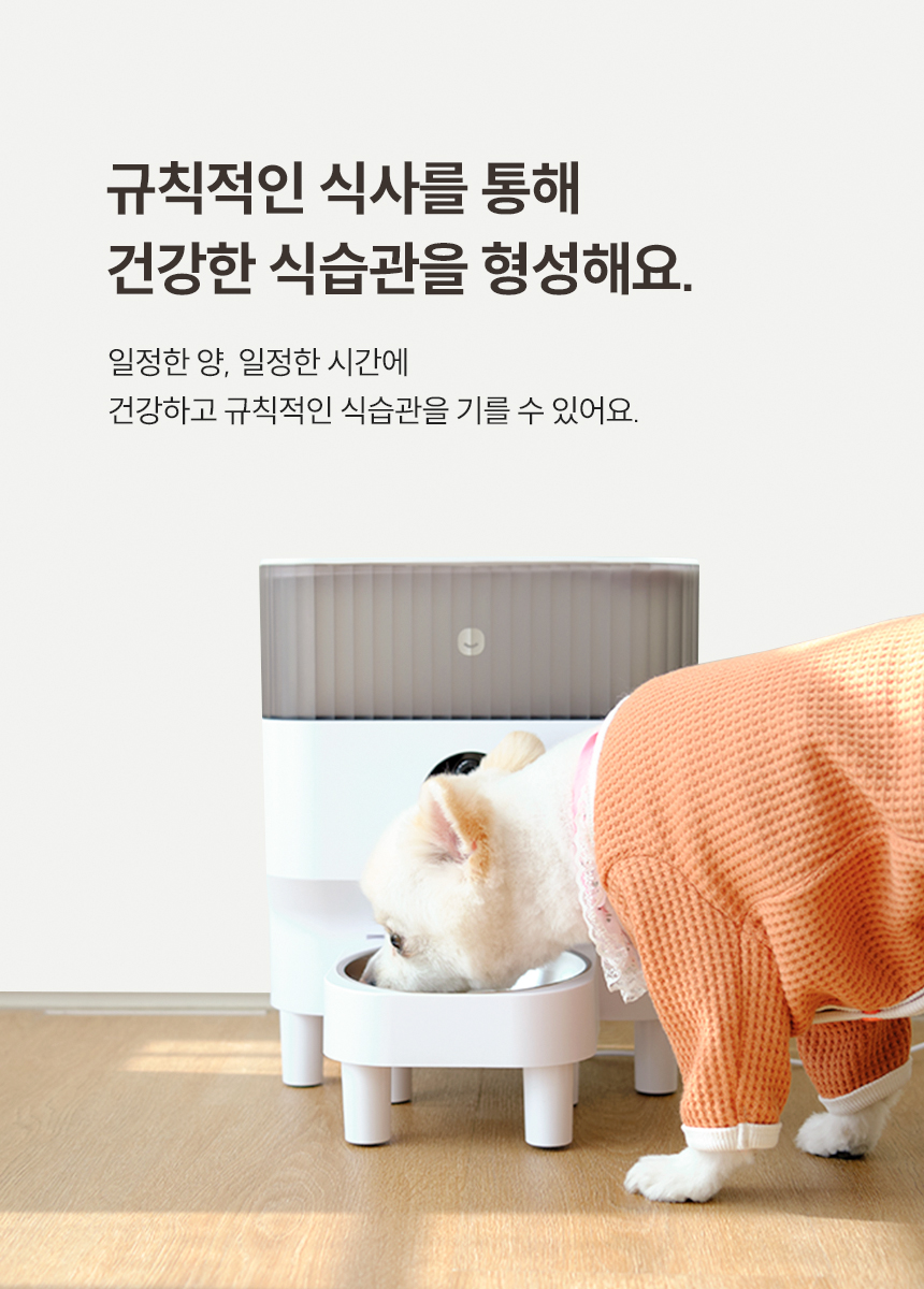 [NEW신상][무료배송] 헤이홈 스마트 펫 자동 급식기 4번째