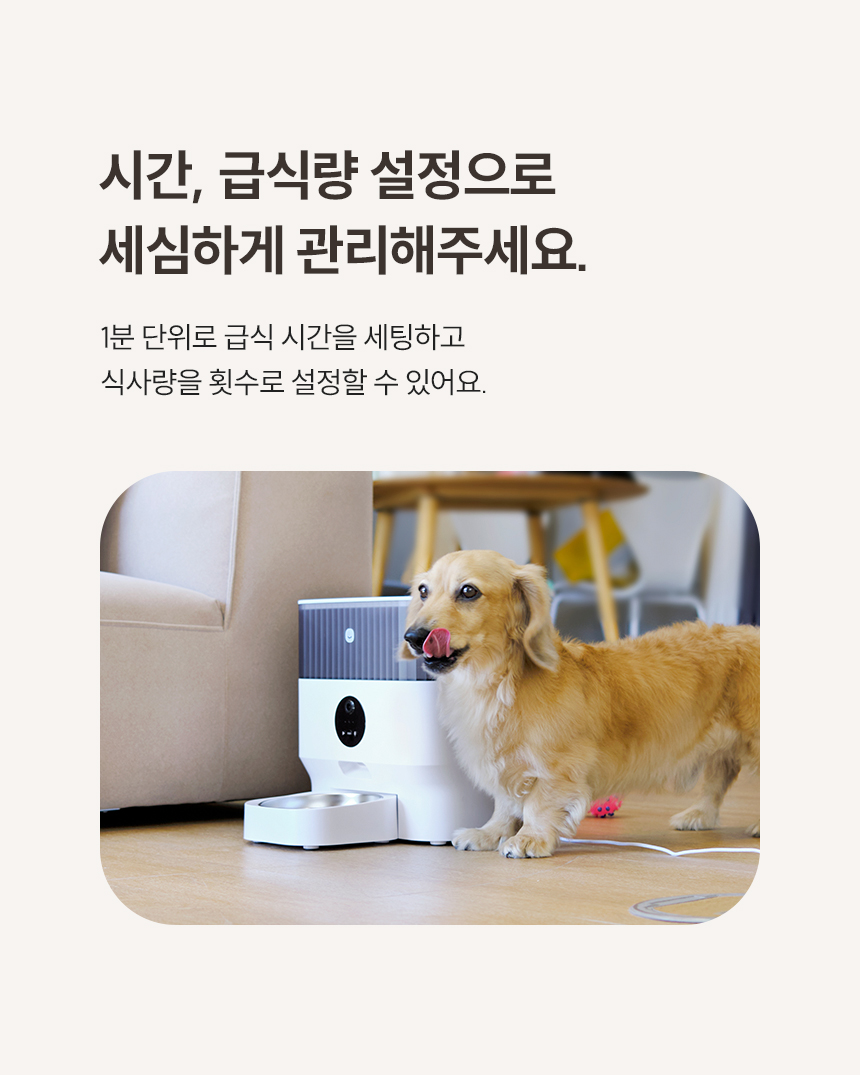 [NEW신상][무료배송] 헤이홈 스마트 펫 자동 급식기 5번째
