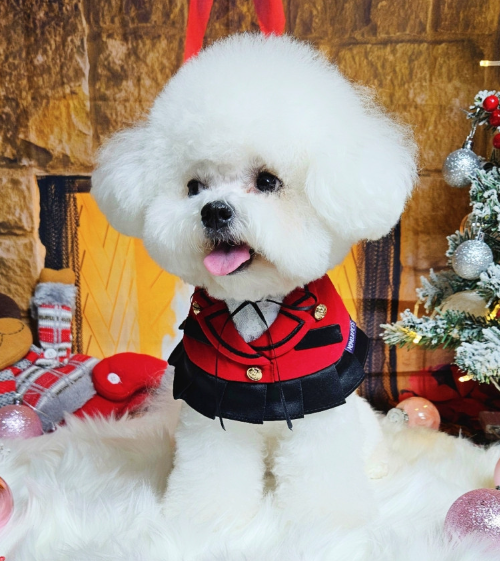 [NEW신상][무료배송] 리치독스 리본 스커트 케이프 레드 4번째