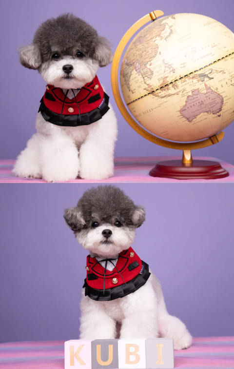 [NEW신상][무료배송] 리치독스 리본 스커트 케이프 레드 2번째