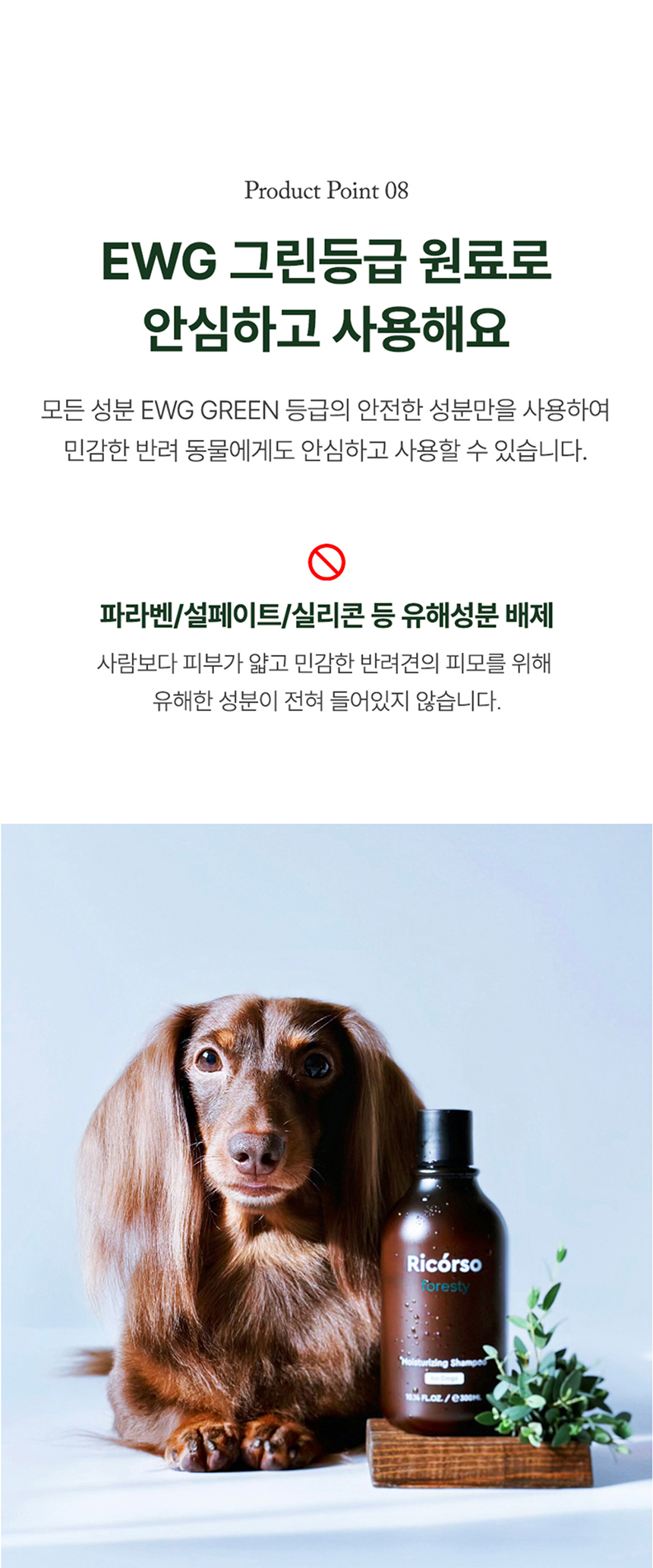 [무료배송] 리꼬르소 독 포레스티 모이스쳐라이징 샴푸 300ml 17번째