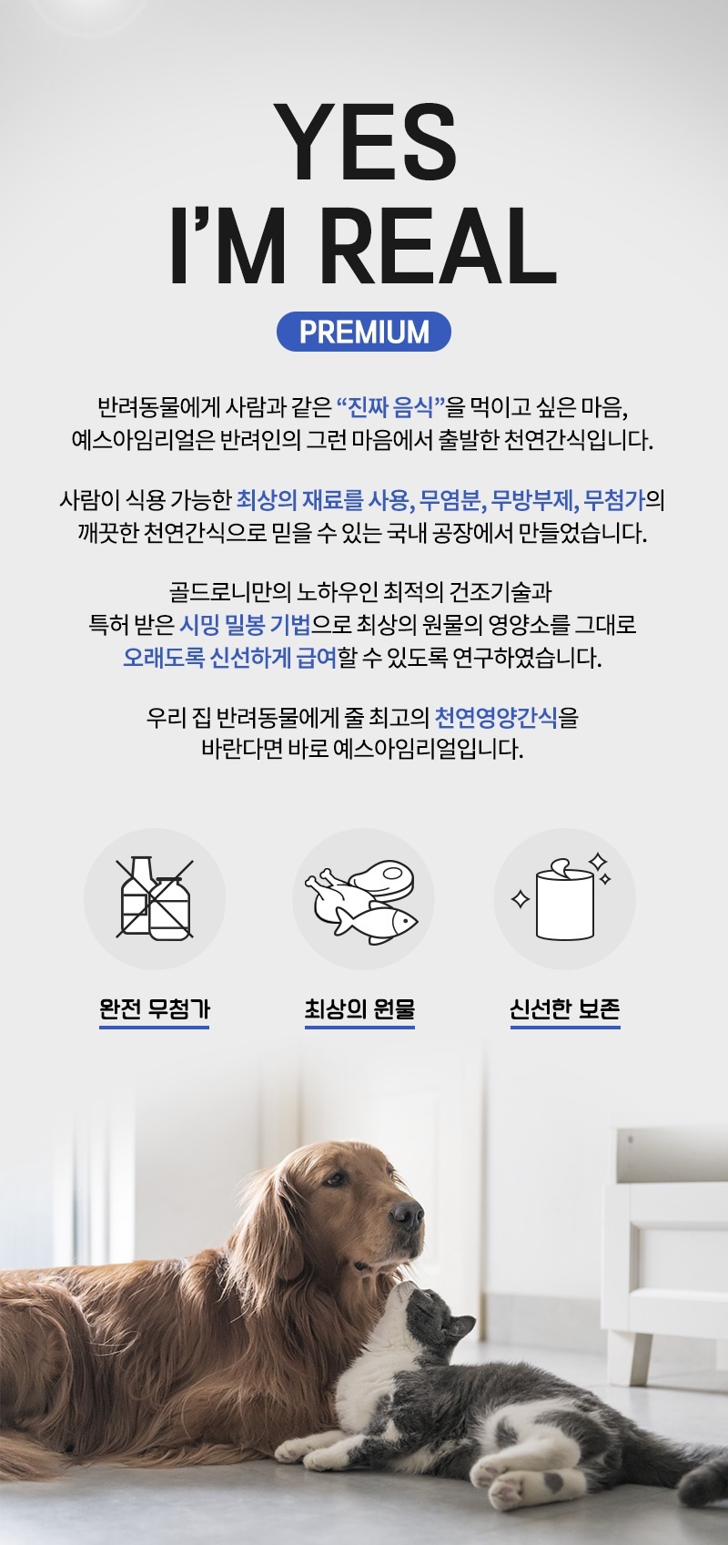[무료배송] [추가증정] 골드로니 예스아임리얼 날씬 닭가슴살 트릿 90g + 순살스틱 2p 증정 2번째