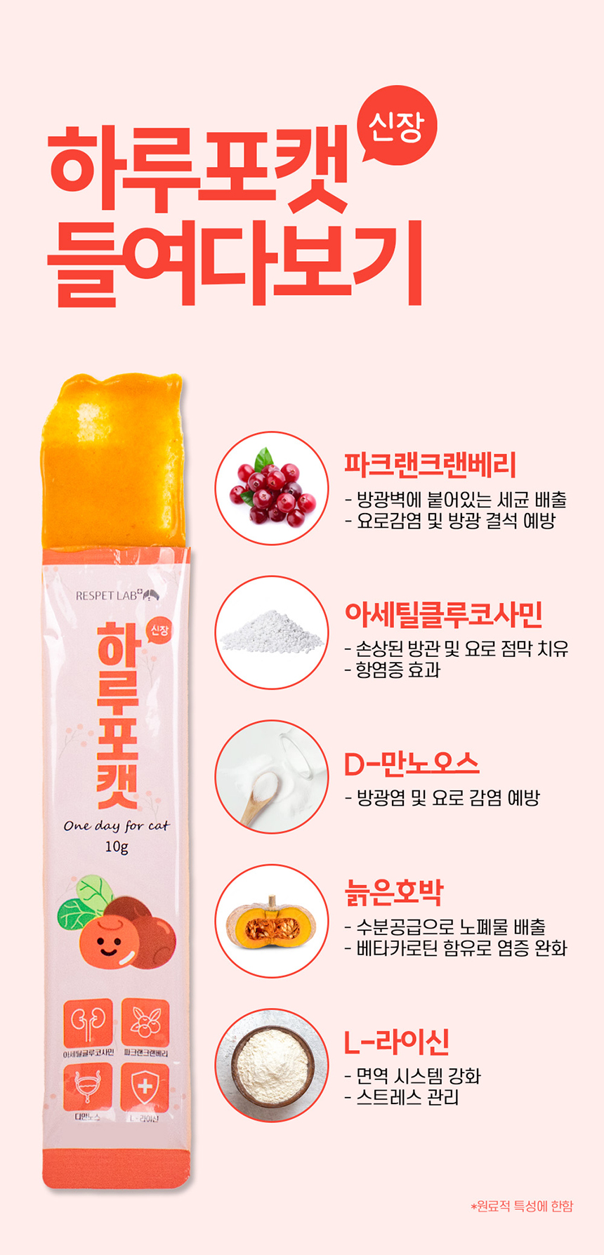 [무료배송] 리스펫 하루포캣 신장 10g*12p 4번째