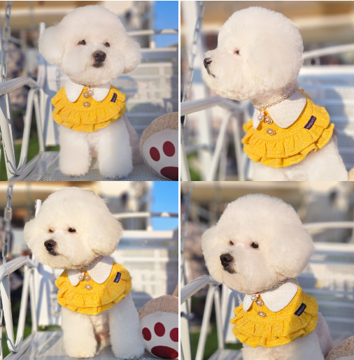 [NEW신상][무료배송] 리치독스 트위드 진주 스커트 케이프 옐로우 3번째