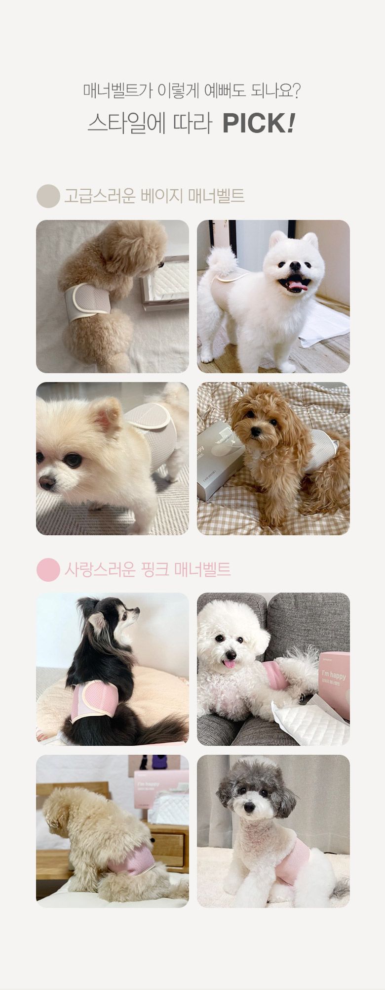 [무료배송] 베베페페 아임해피 강아지 기저귀 매너벨트 핑크세트 (리필패드10매+매너벨트) 4번째
