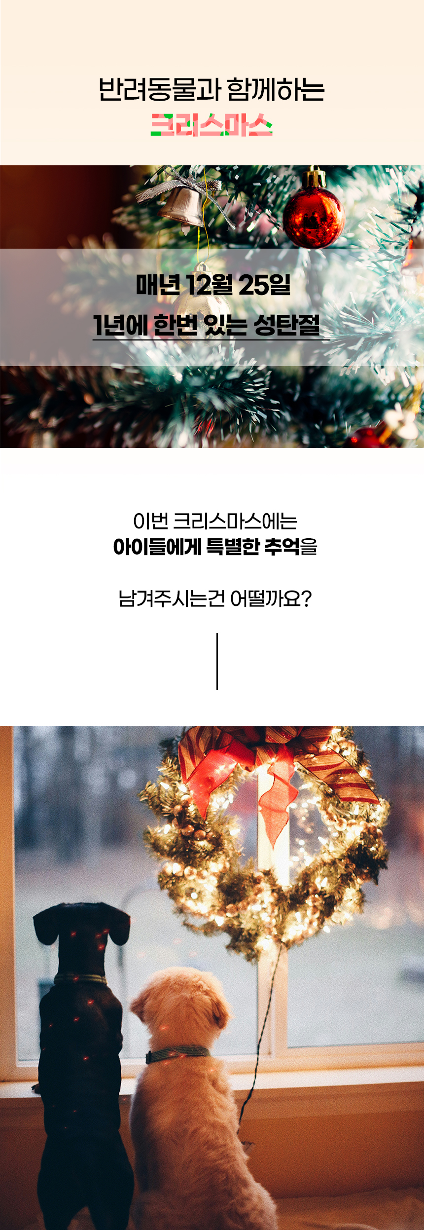 [NEW신상][무료배송] 개과천선 엑스마스 케이프 1 set 2번째