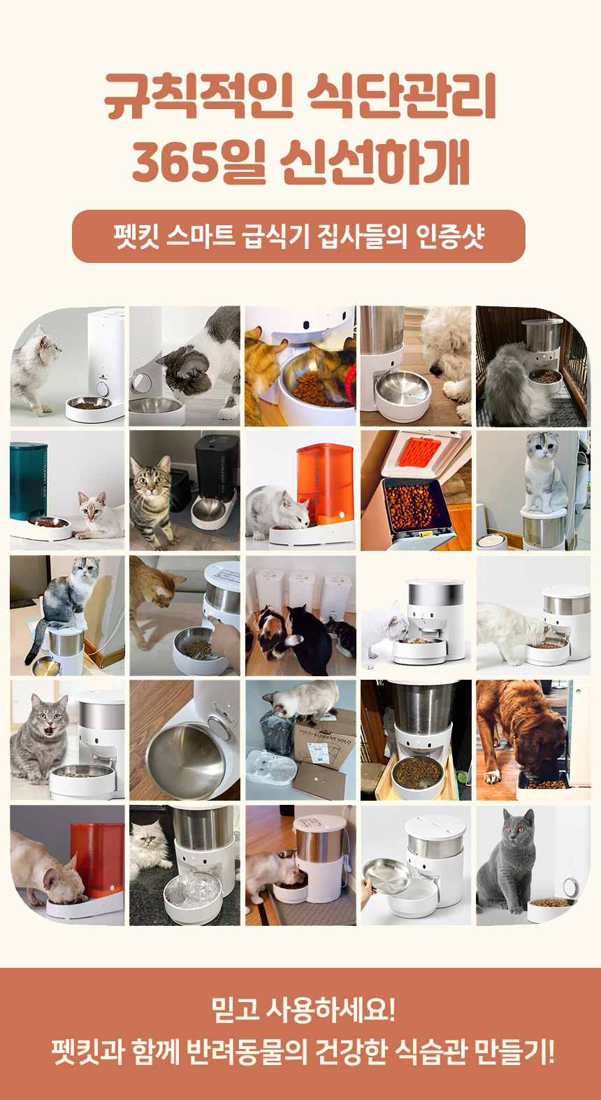 [무료배송] 펫킷 솔로 급식기 3번째