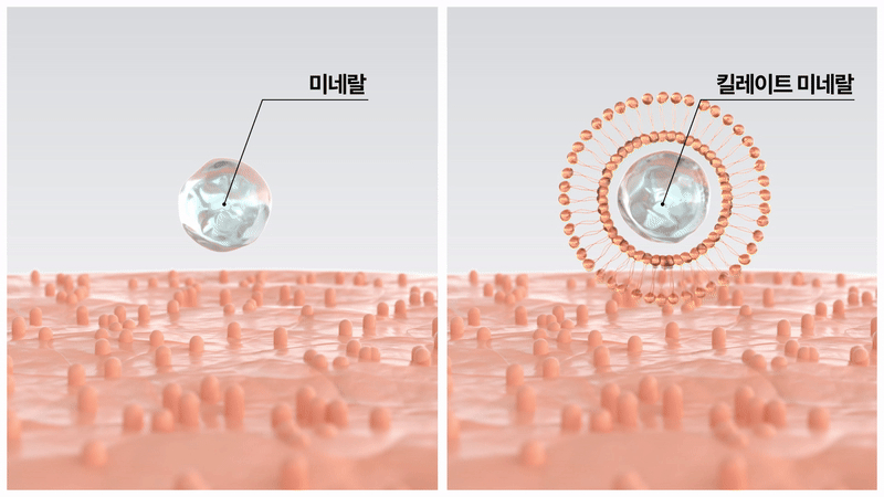 [체험팩] 닥터트러스티 동결건조 처방사료 하이포알러제닉(알러지) 스타터 9g 8번째