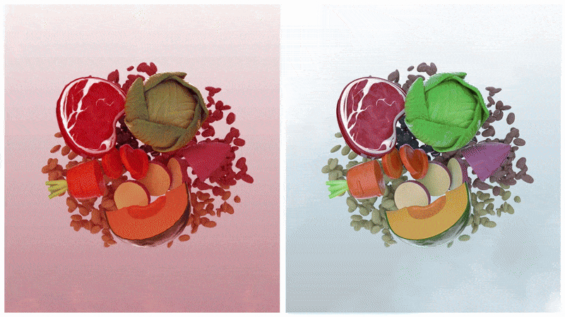 [체험팩] 닥터트러스티 동결건조 처방사료 하이포알러제닉(알러지) 스타터 9g 5번째