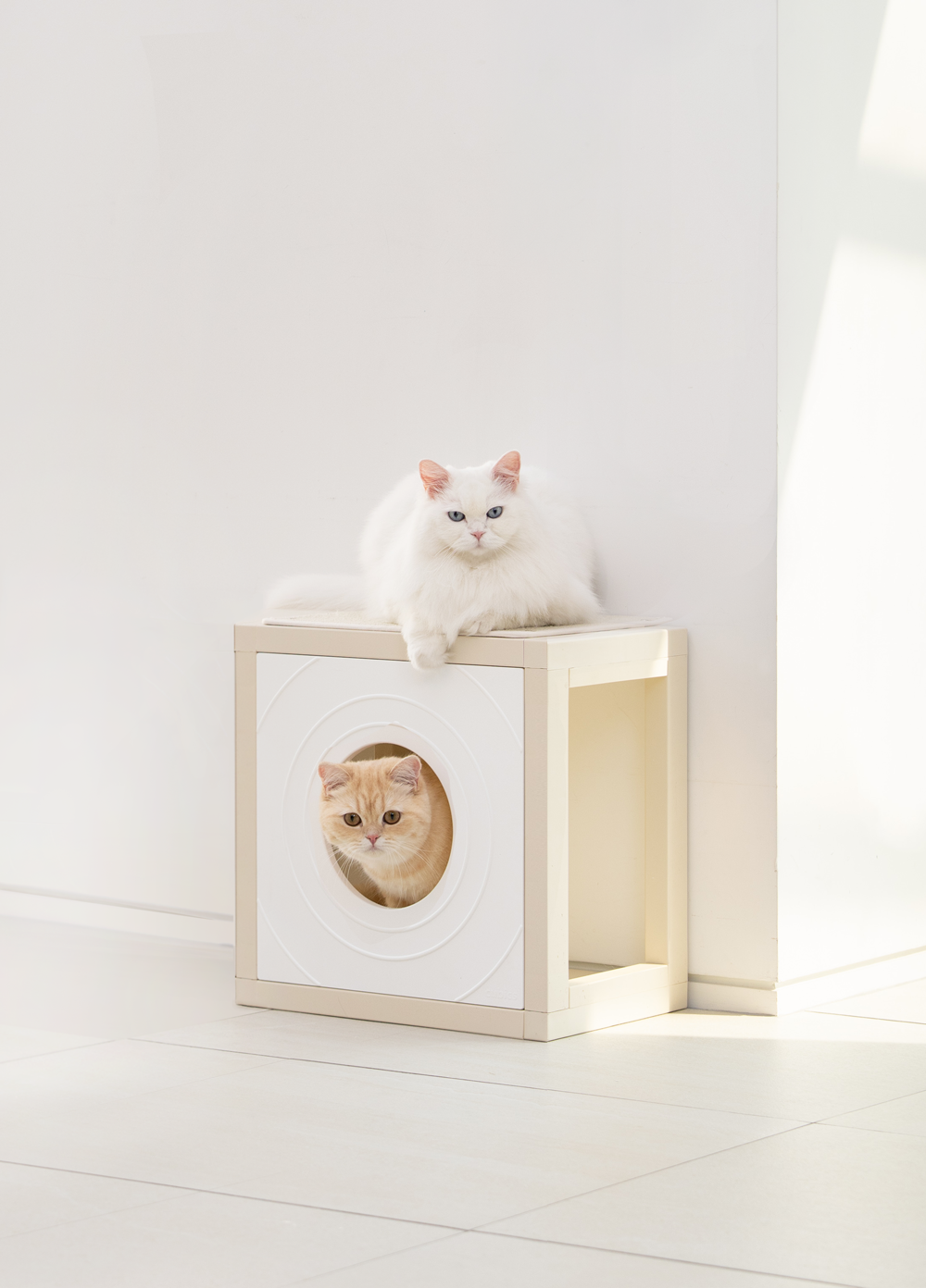 [NEW신상][무료배송] 큐빅스펫 숨숨집 1x1 + 커버 세트 아이보리/화이트/카뎃블루/레드/그레이/옐로우 36번째